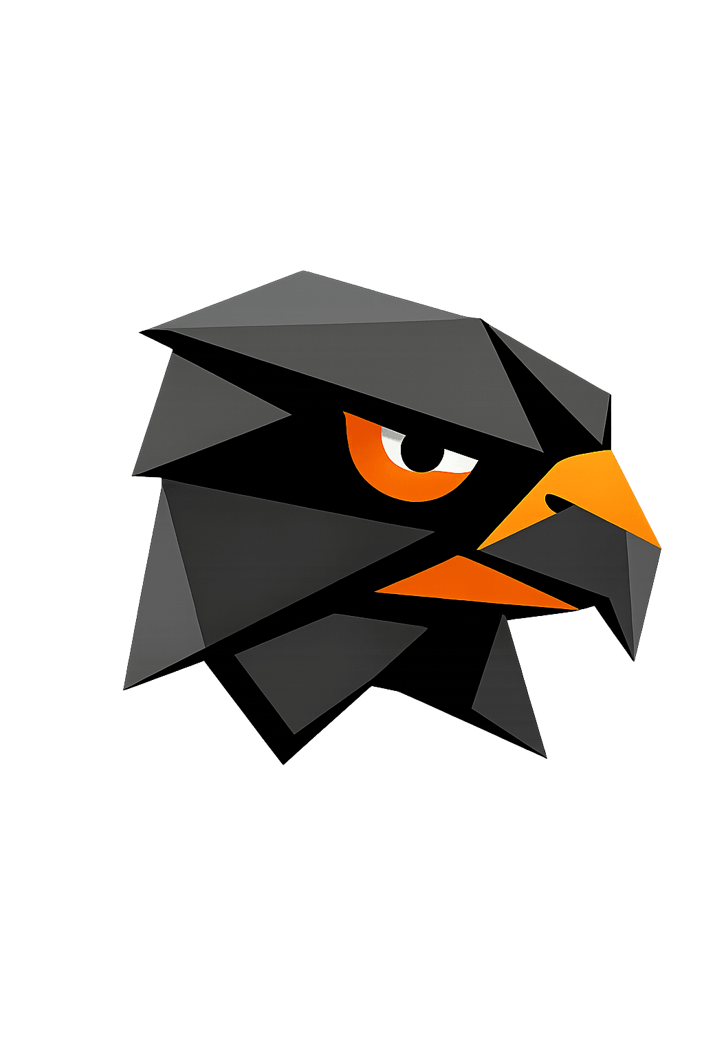 Falkon Insights